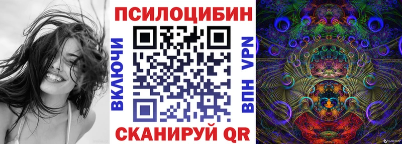 Галлюциногенные грибы Psilocybe  Красный Сулин 
